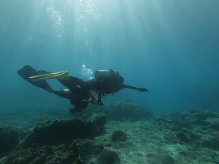 [고릴라춉]오키나와 겨울 스노클링&다이빙 포인트를 소개합니다