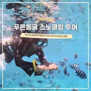 오키나와 북부 여행 푸른동굴 스노클링 오키투어 픽업 샤워장 후기