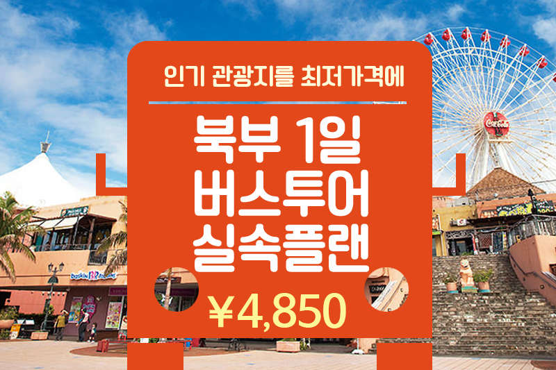 북부 1일 버스투어 실속플랜-C코스(츄라우미수족관 포함)