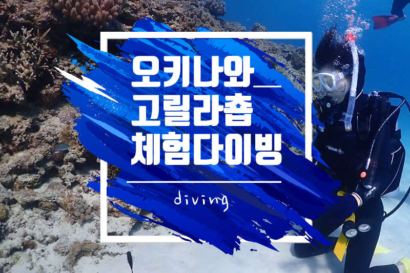 [북부/고릴라촙] 체험다이빙 - 아름다운바다!  <프리미엄 투어>